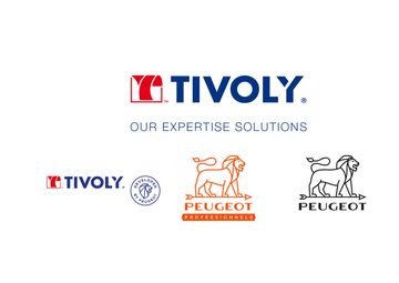 Ordinary General Meeting of Shareholders > Tivoly Iberica (NECO) Spain